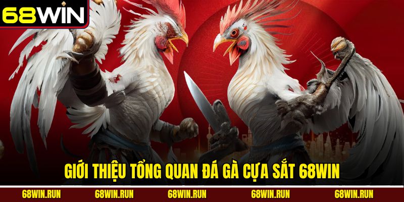Giới thiệu tổng quan đá gà cựa sắt 68WIN