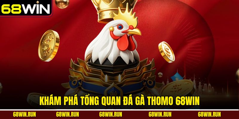 Khám phá tổng quan đá gà Thomo 68WIN