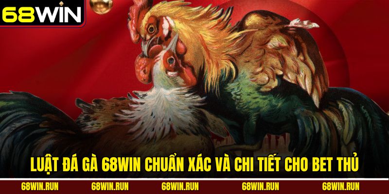 Luật Đá Gà 68WIN Chuẩn Xác Và Chi Tiết Cho Bet Thủ